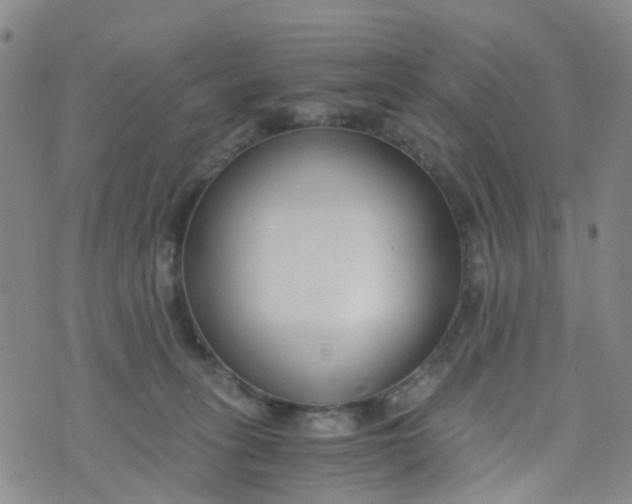 X0000073920275200609011817