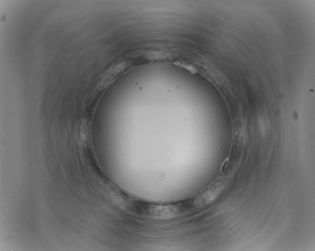 X0000073920277200609011817