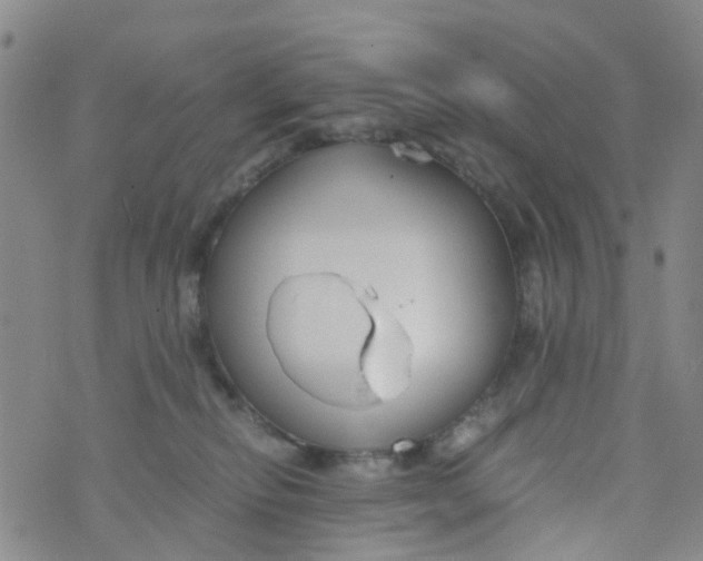 X0000073920278200609011817