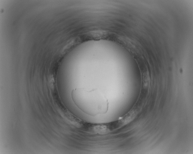 X0000073920279200609011817