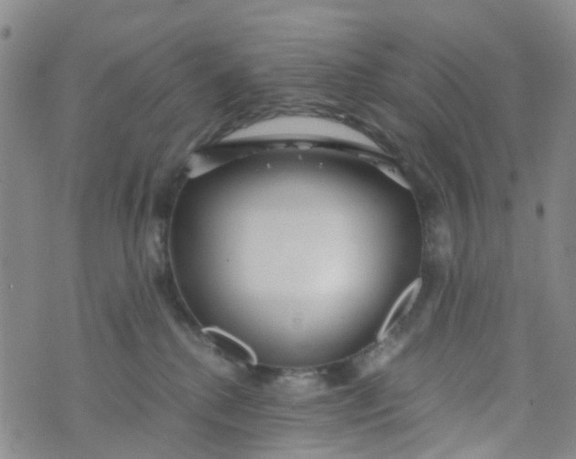 X0000073920280200609011817