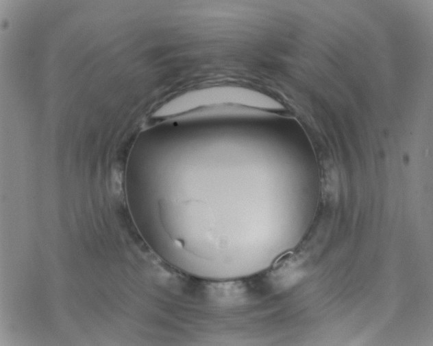 X0000073920281200609011817