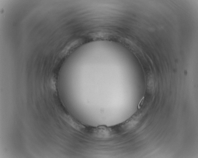 X0000073920282200609011817