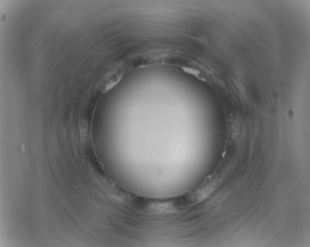 X0000073920283200609011817