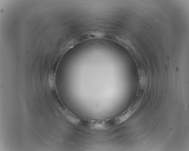 X0000073920285200609011817