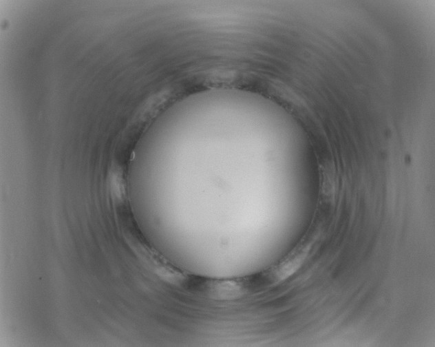 X0000073920287200609011817