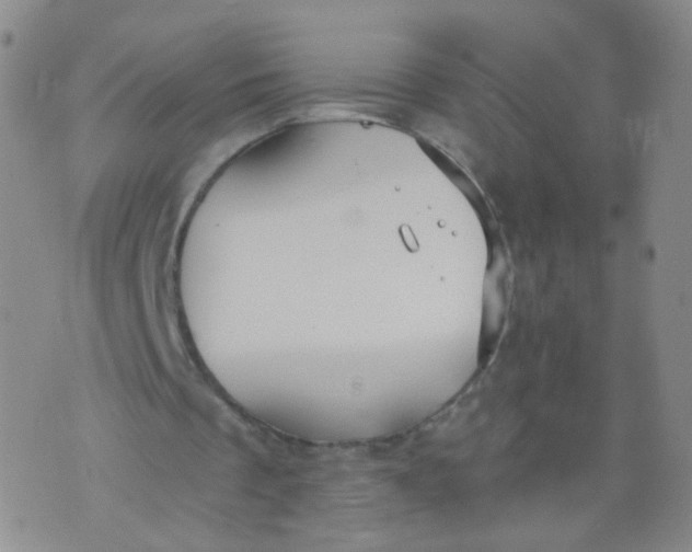 X0000073920289200609011816