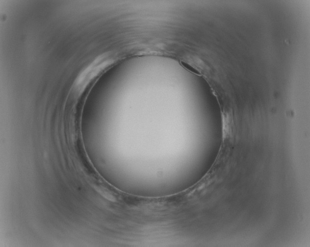 X0000073920291200609011816