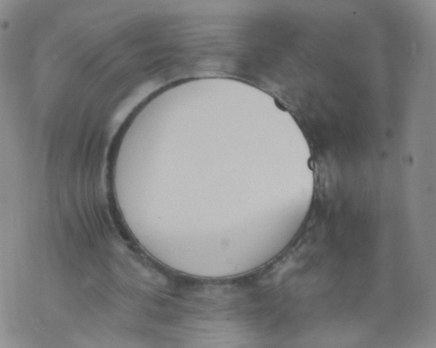 X0000073920292200609011816