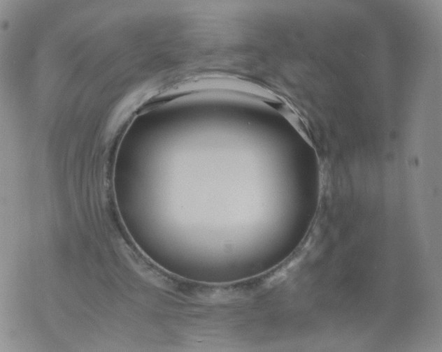 X0000073920293200609011816