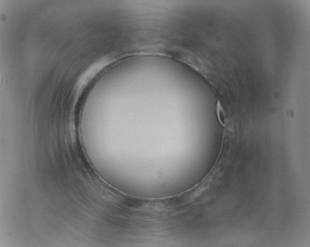 X0000073920294200609011816