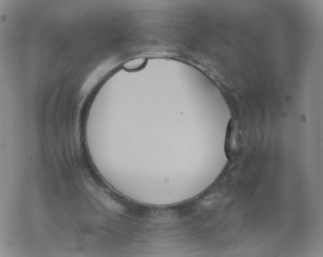 X0000073920296200609011816