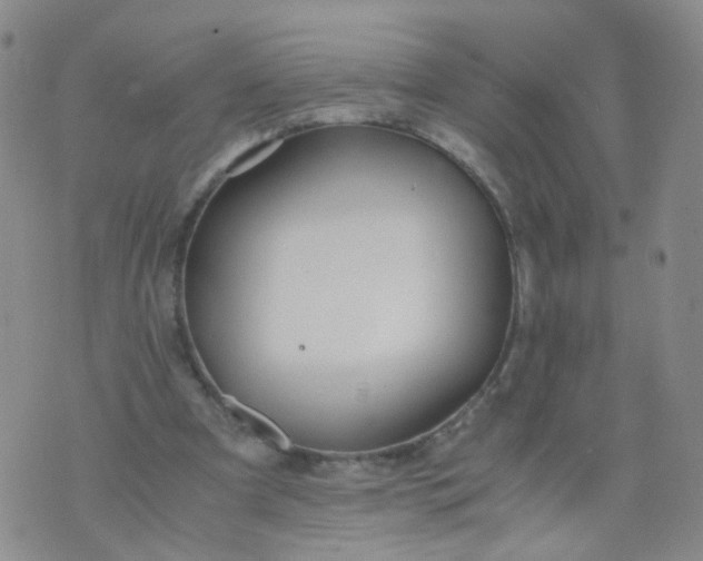 X0000073920297200609011816