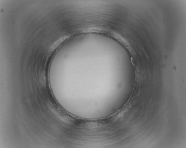 X0000073920298200609011816