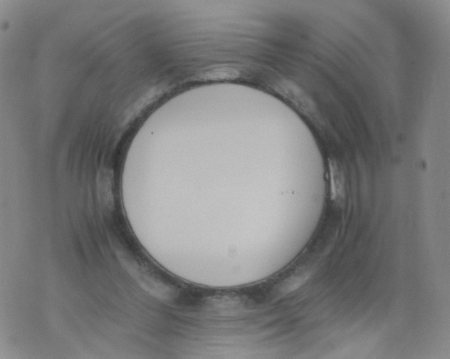 X0000073920300200609011816