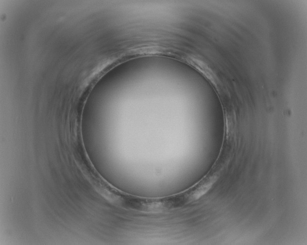 X0000073920301200609011816