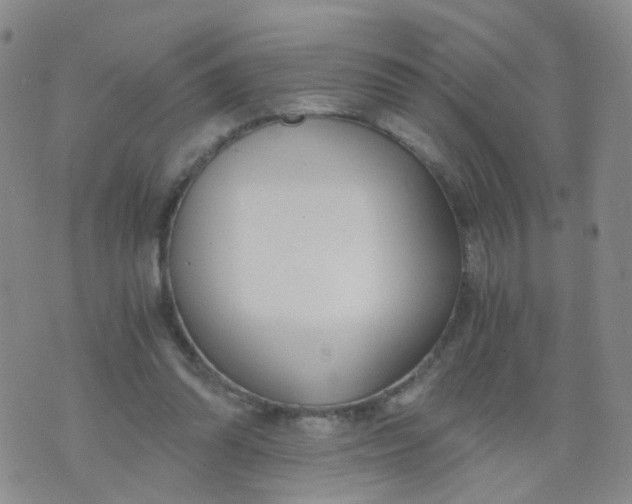 X0000073920302200609011816