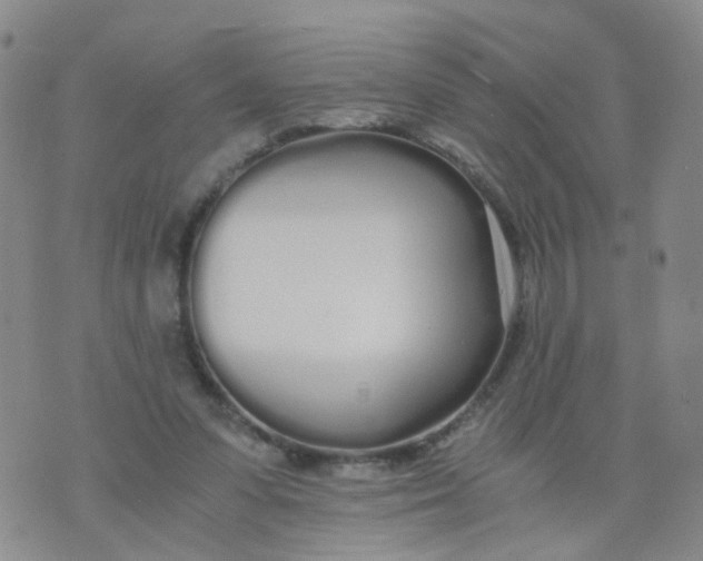 X0000073920303200609011816