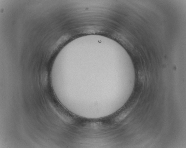 X0000073920304200609011816