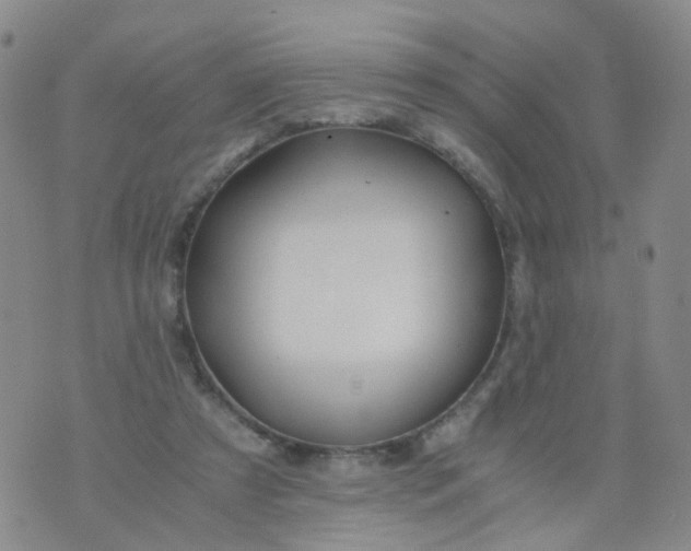 X0000073920305200609011816