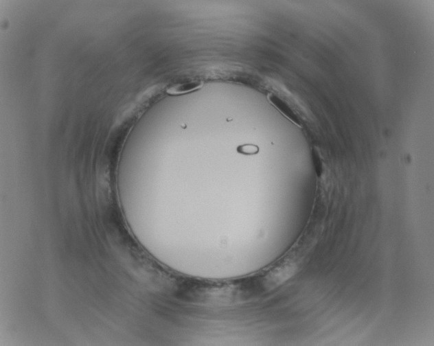 X0000073920306200609011816