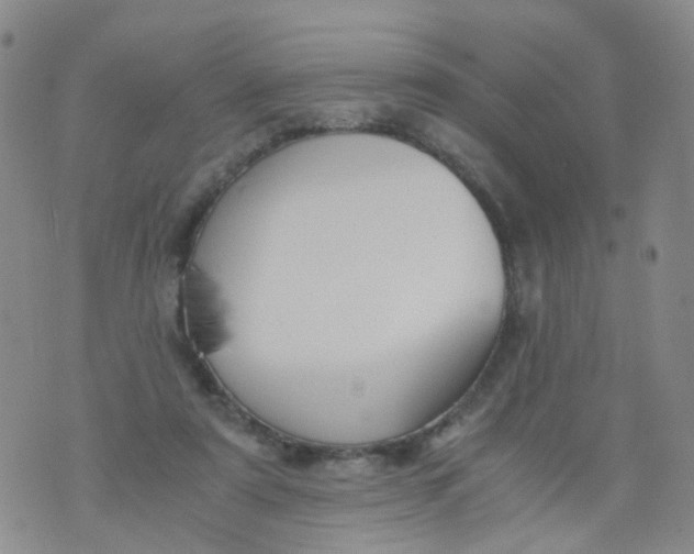 X0000073920307200609011816