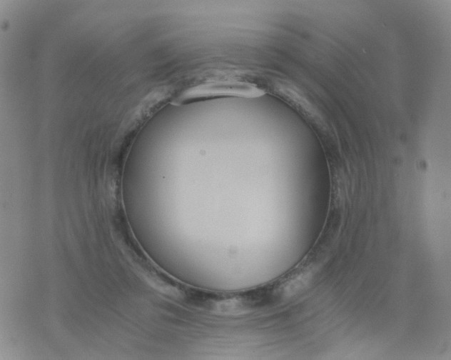 X0000073920309200609011816