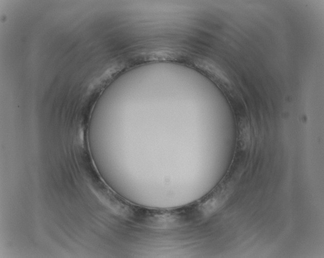 X0000073920310200609011816