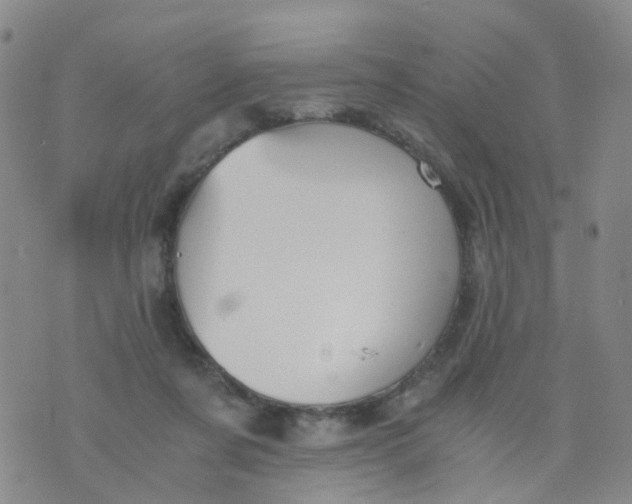 X0000073920311200609011816