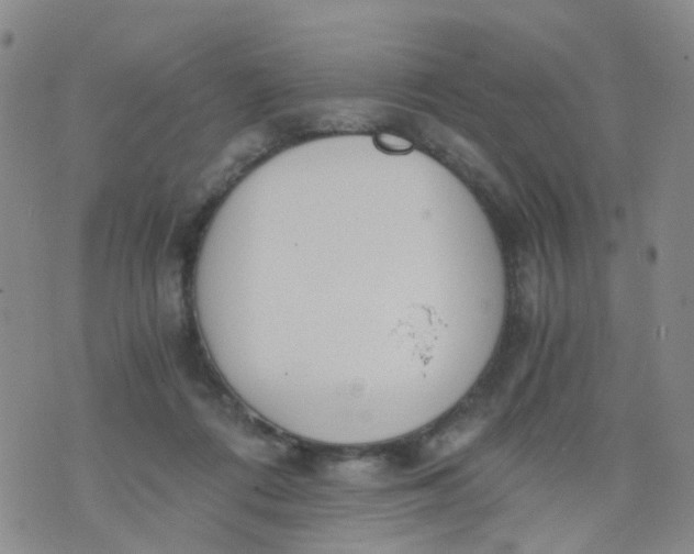 X0000073920312200609011816