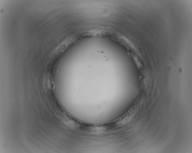 X0000073920313200609011816