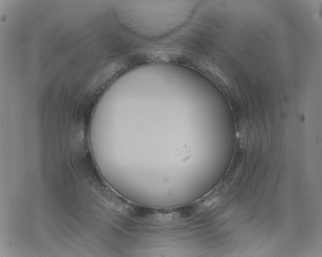 X0000073920314200609011816