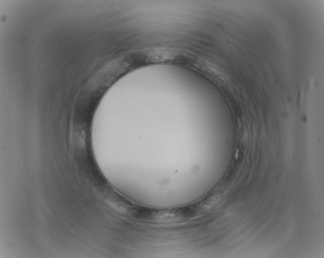 X0000073920315200609011816