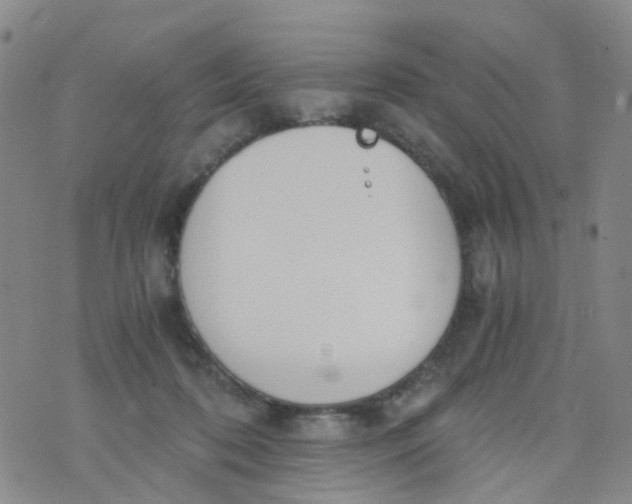 X0000073920316200609011816