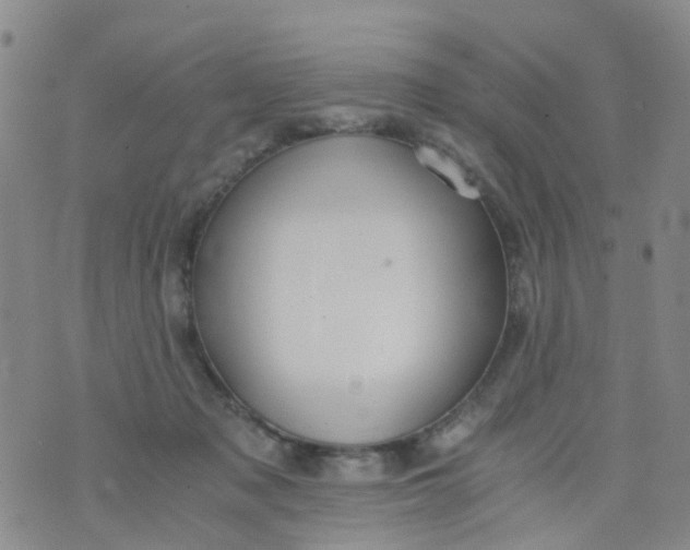 X0000073920317200609011816