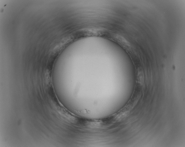 X0000073920318200609011816