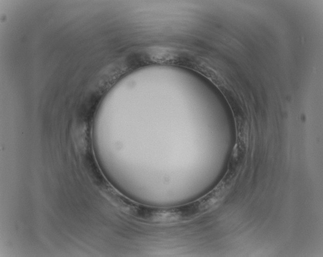 X0000073920319200609011816