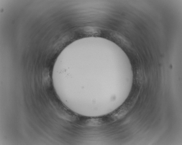 X0000073920320200609011816