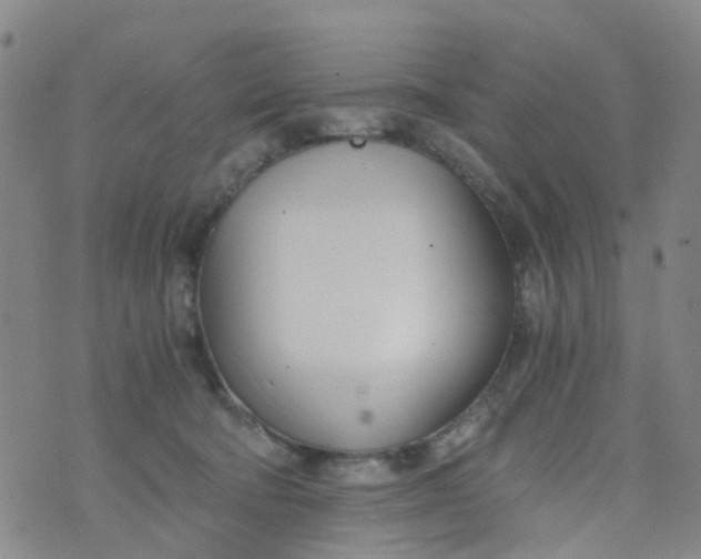 X0000073920322200609011816