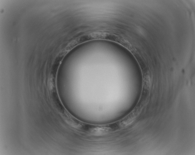 X0000073920323200609011816