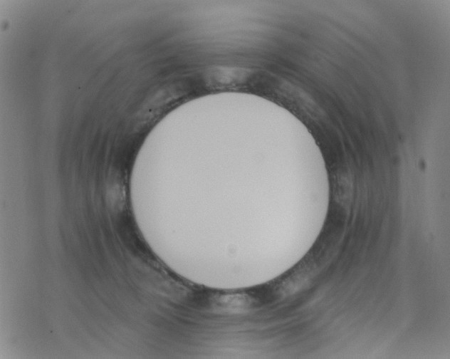 X0000073920324200609011816