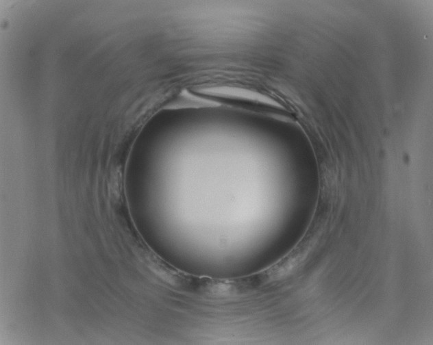 X0000073920325200609011815