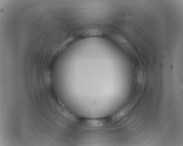 X0000073920326200609011815