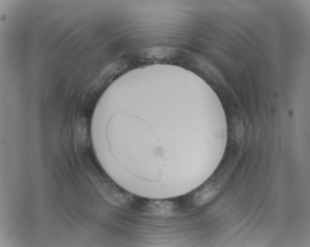 X0000073920328200609011815