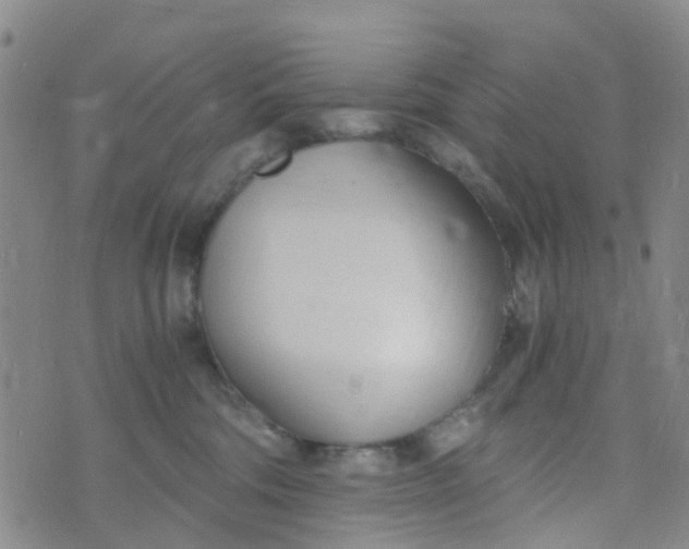 X0000073920330200609011815