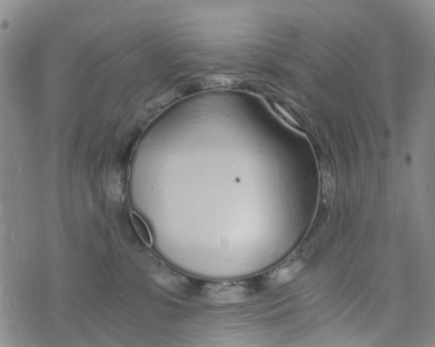 X0000073920331200609011815