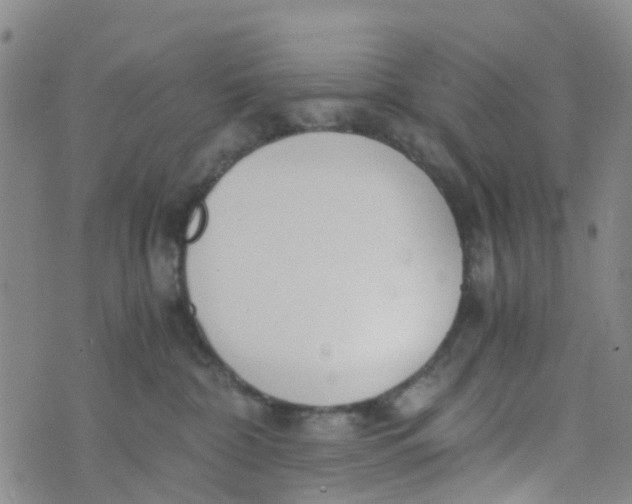 X0000073920332200609011815