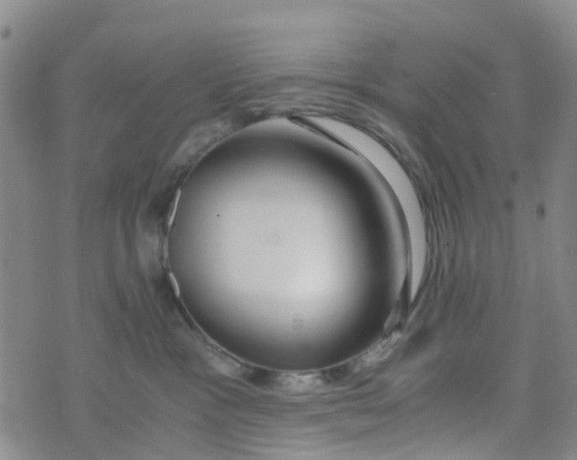 X0000073920333200609011815