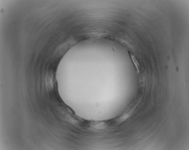 X0000073920334200609011815