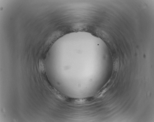 X0000073920335200609011815